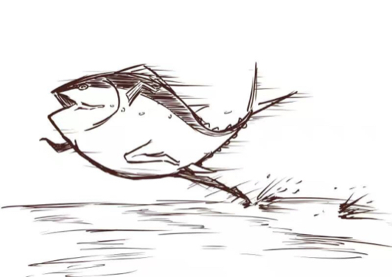 做一条咸鱼是什么意思