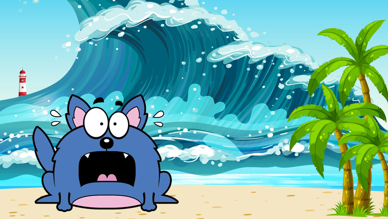 blue wolf afraid of the sea wave.