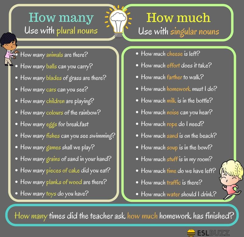 how-much-do-i-owe-you-what-do-i-owe-you-are-these-expressions-the