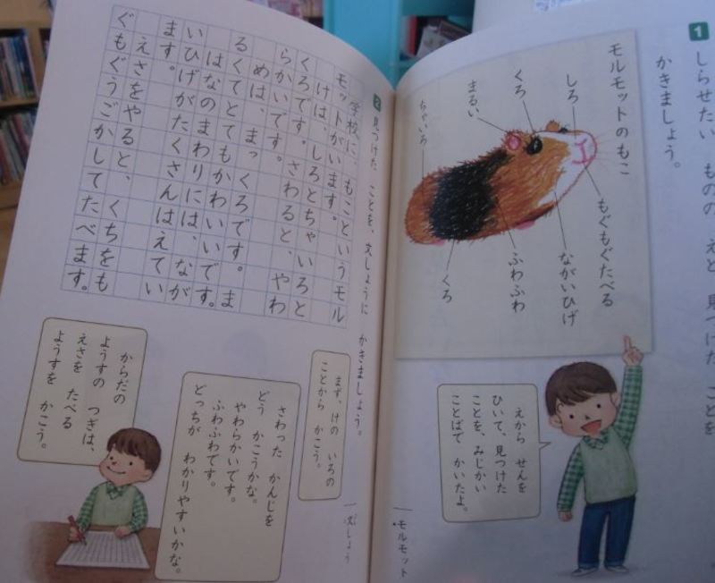 日本人は大体何時から敬語を初めて勉強していますか 小学生かな Hinative