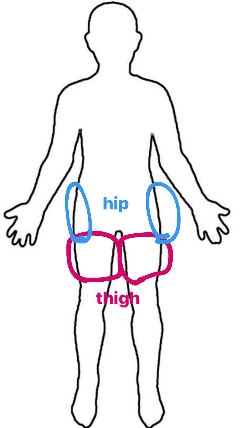 🆚What is the difference between hip and thigh ? hip vs thigh ?