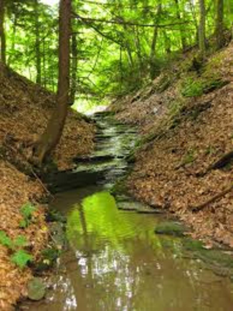 ?What Is The Difference Between Ditch And Ravine And Dump , 46 OFF