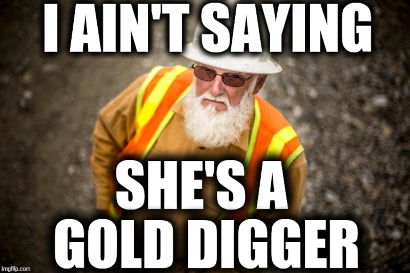 Gold digger - Imgflip