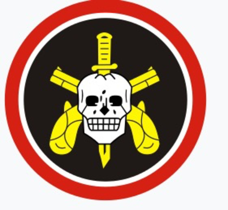 caveiraandcapit00o是什么意思