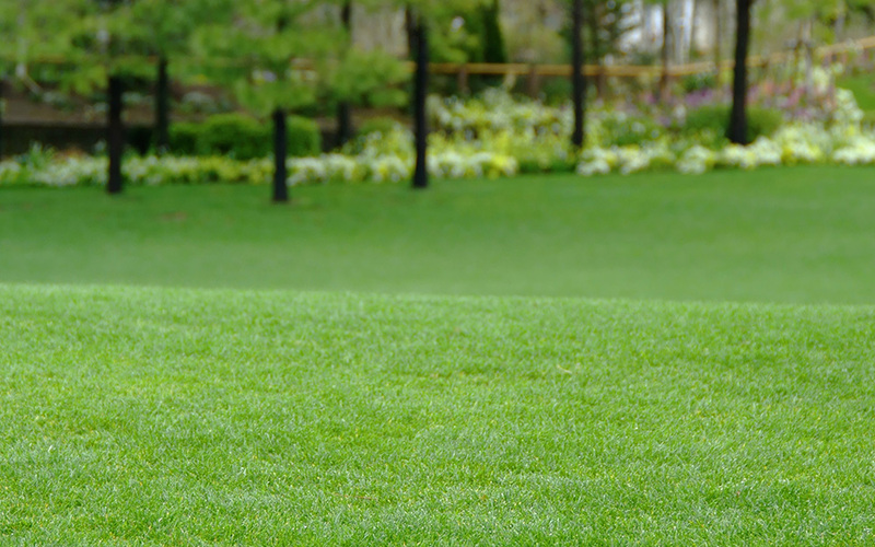 Please tell me about the difference between 'yard' and 'garden'. We're