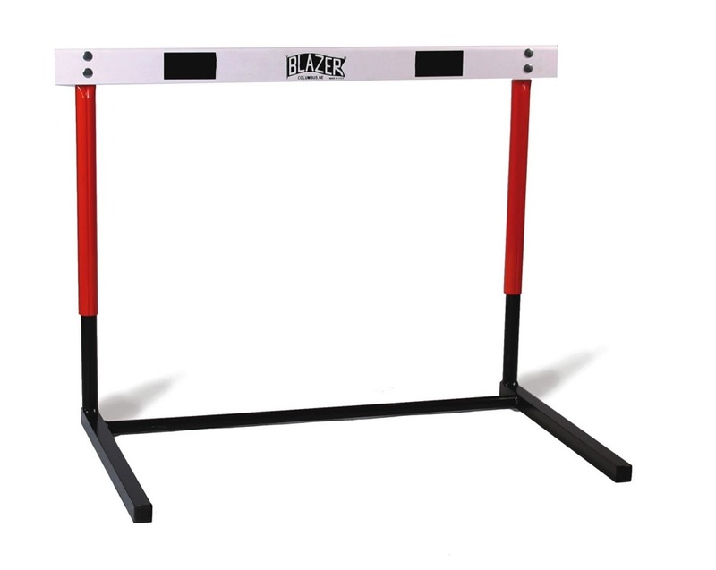 🆚What is the difference between "hurdle" and "challenge" ? "hurdle" vs "challenge" ? HiNative