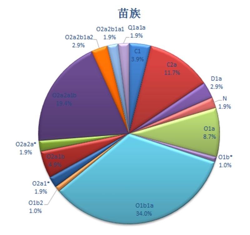 请告诉我三苗族y单倍单倍群和m单倍单倍群