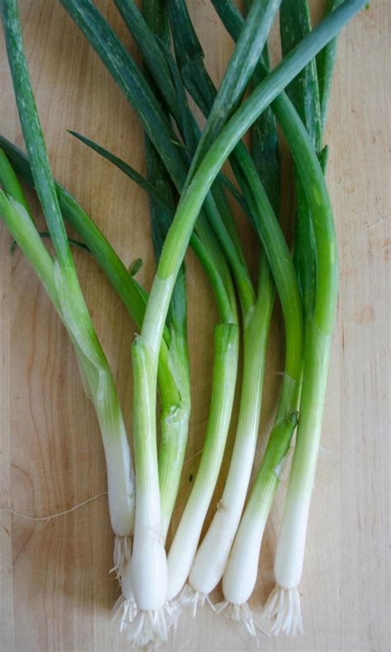 🆚What is the difference between scallion and green onion and