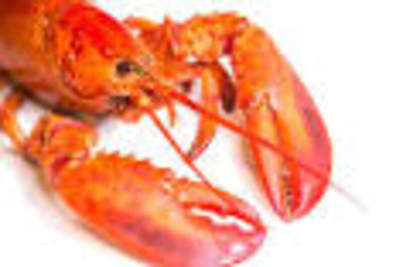 What is the meaning of "lobster"? Question about English (US) HiNative