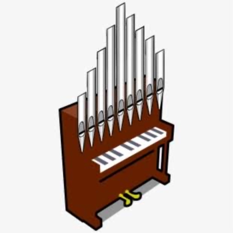 Organ とはどういう意味ですか 英語 アメリカ に関する質問 Hinative