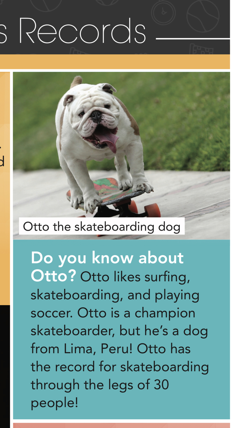 "otto has the record for skateboarding through the legs of 30