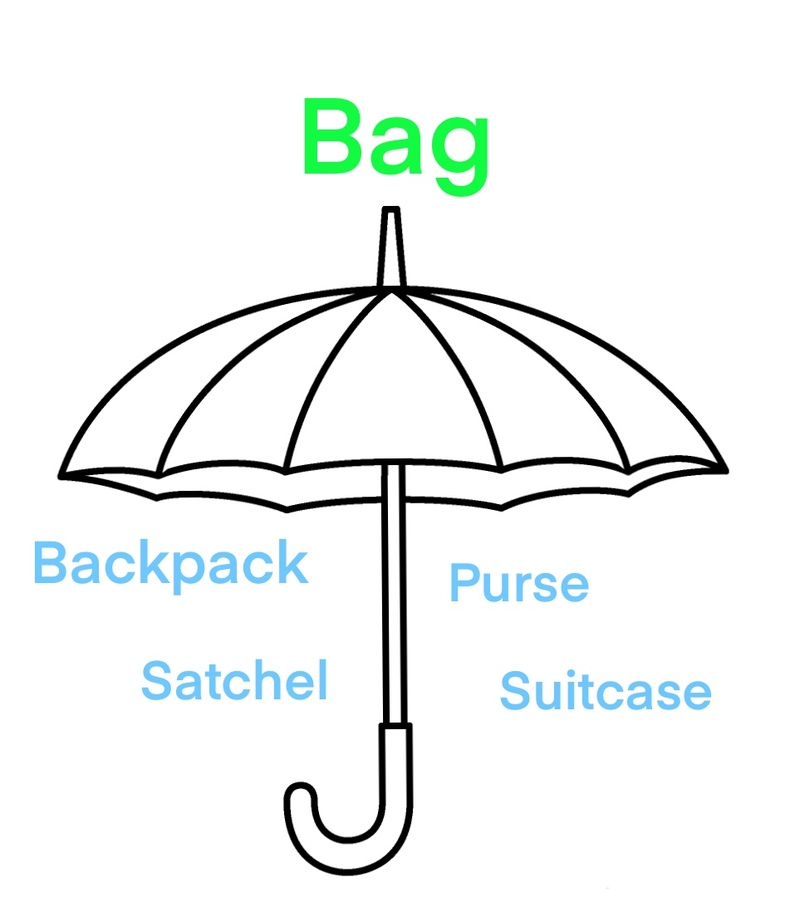 What is the difference between "bag" and "purse" and "backpack" ? "bag