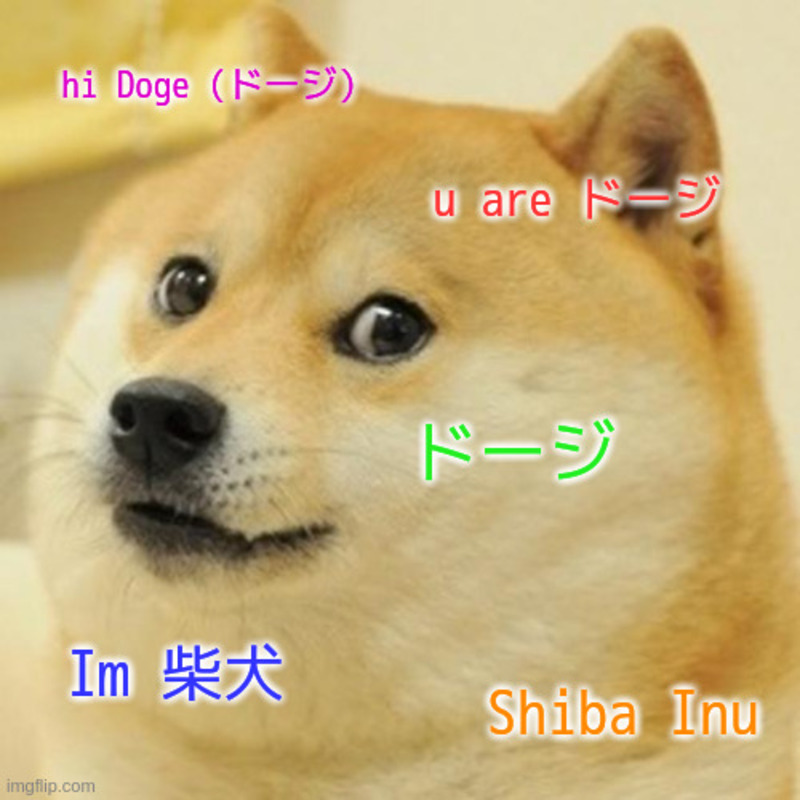 How do you say "Doge (aka slang for Dog)" in Japanese? HiNative