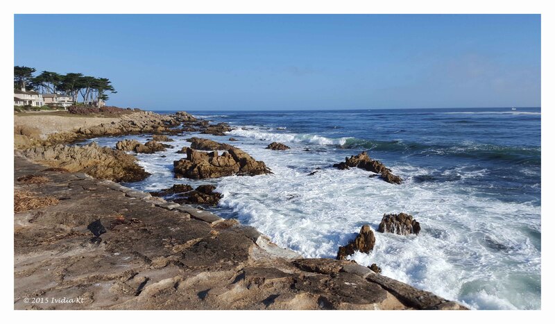 coast和beach和shore有什么区别如果难以说明的话请教我一下例句