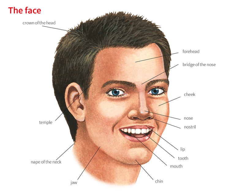 what-is-the-meaning-of-jaw-question-about-english-us-hinative