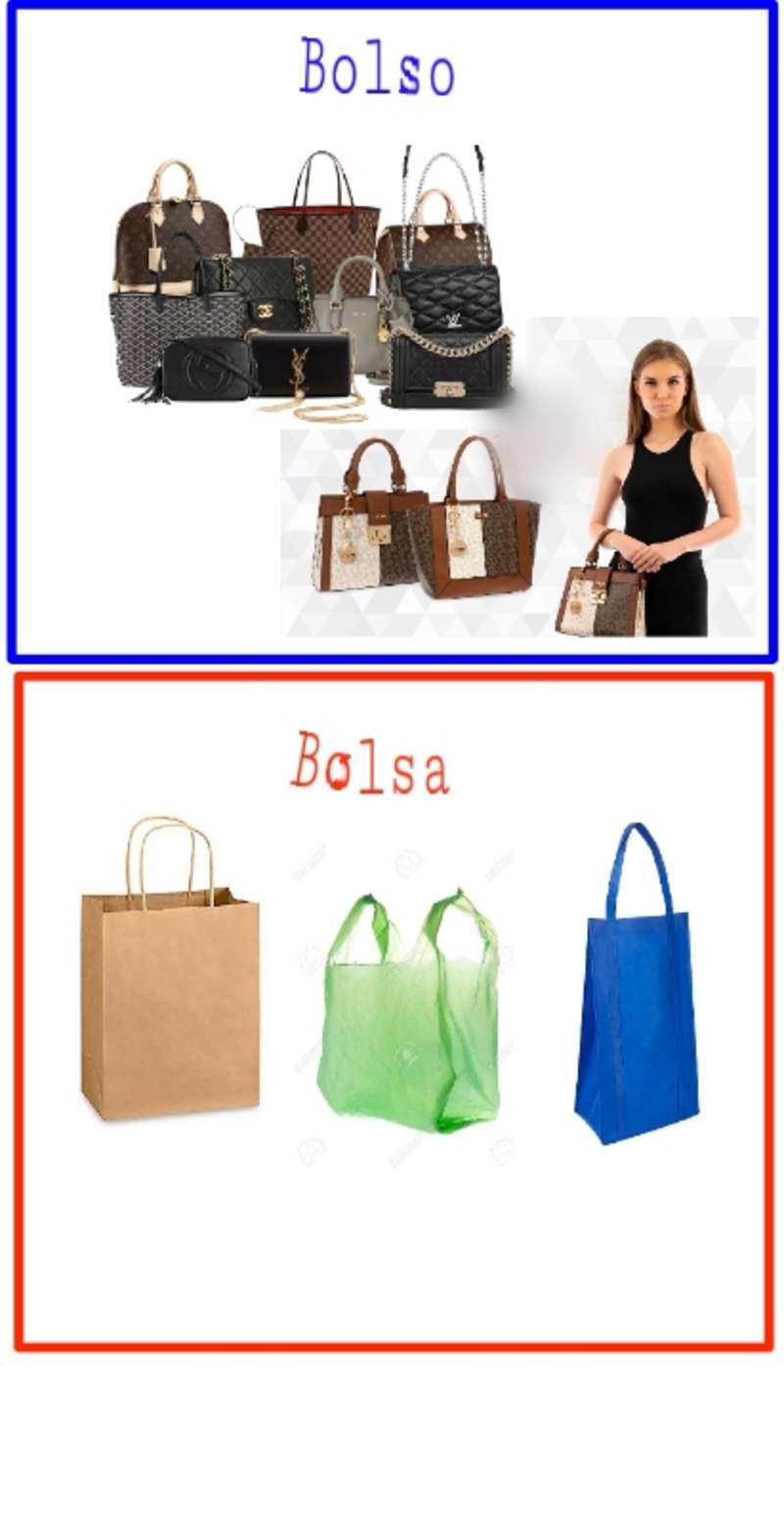 Bolso bolsa 2024