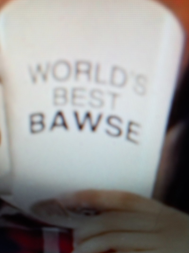 What is the meaning of "bawse Is it slang?"? Question about English