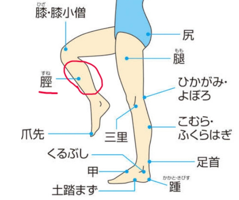 ドラえもん にある人物 骨川スネ夫 の スネ は何かの意味があるのでしょうか Hinative