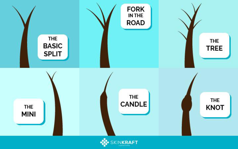 🆚What is the difference between "trim" and "cut the ends" and "split