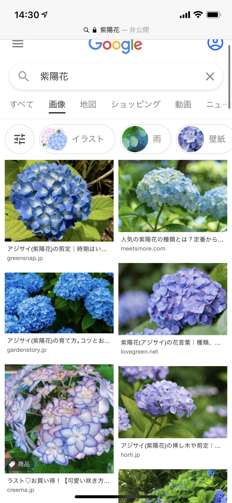 紫陽花 是什麼意思 關於日語 日文 的問題 Hinative