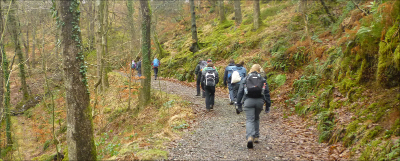 what-is-the-difference-between-picnic-and-hike-picnic-vs-hike