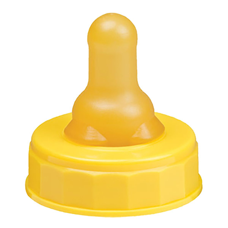 How do you say "What do we call the nipple of the baby bottle? " in