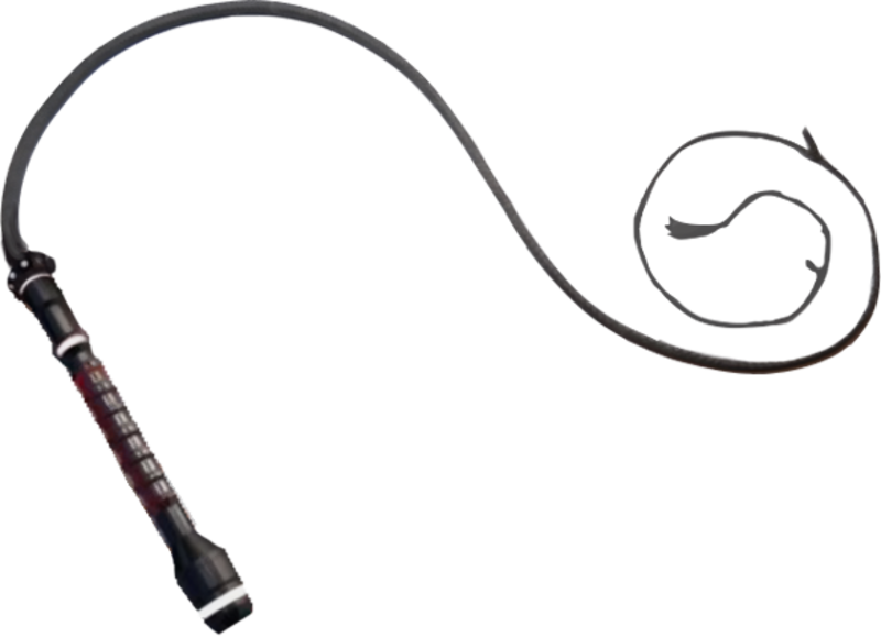 What is the meaning of "Whip"? Question about English (US) HiNative