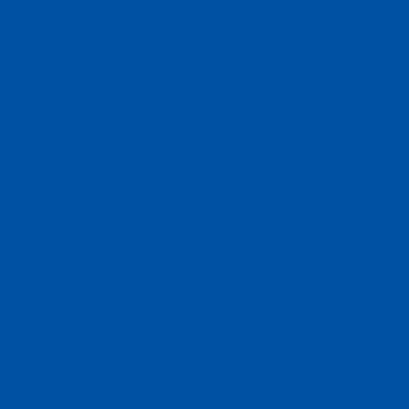 How Do You Say This In Russian My Favorite Color Is Blue Hinative Er