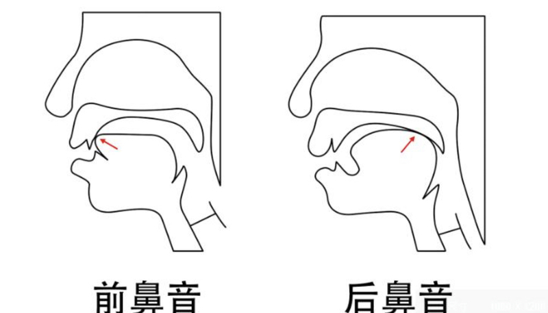 后鼻音的发音技巧图片