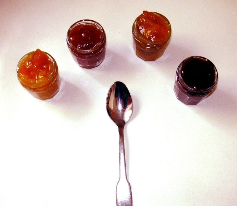 jelly是什么意思