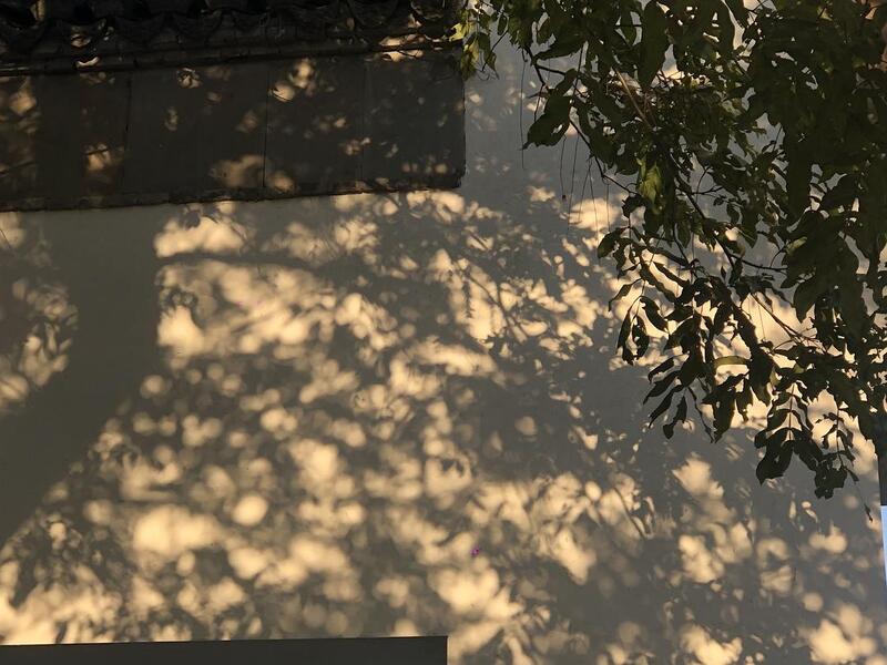 问一下为什么要说树影斑驳按定义斑驳不是用来指多种颜色夹杂在一起吗