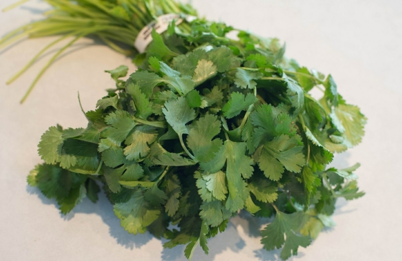 cilantro和coriander有什么区别如果难以说明的话请教我一下例句