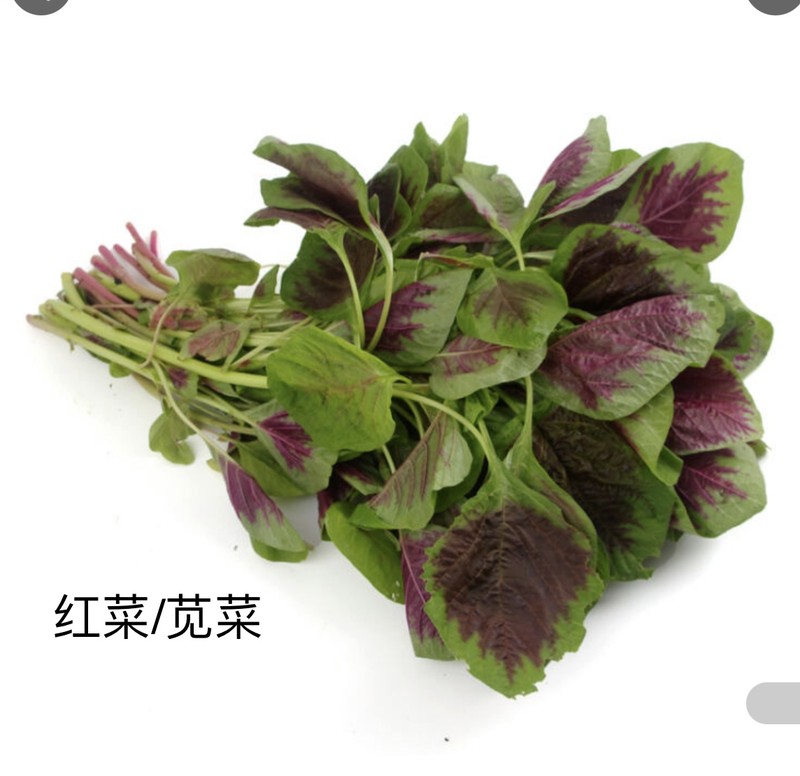 is红菜shortfor红头菜ifsoistheshorterorlongerversionmorecommonly