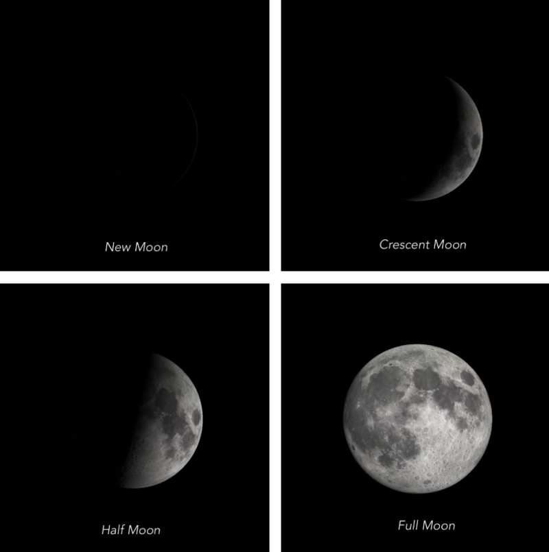 Half Moon 🌝  Half moon, Moon