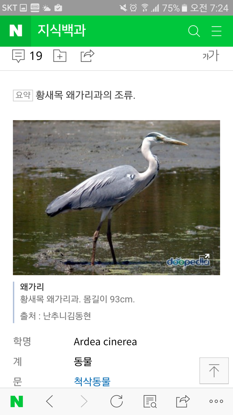 is-the-korean-word-for-heron-hinative