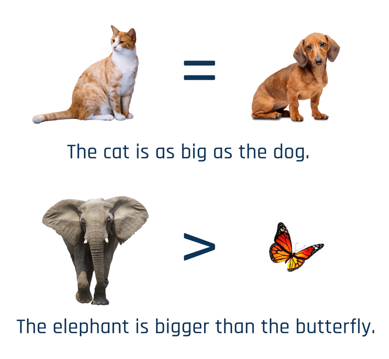 What is the difference between BIG and LARGE?