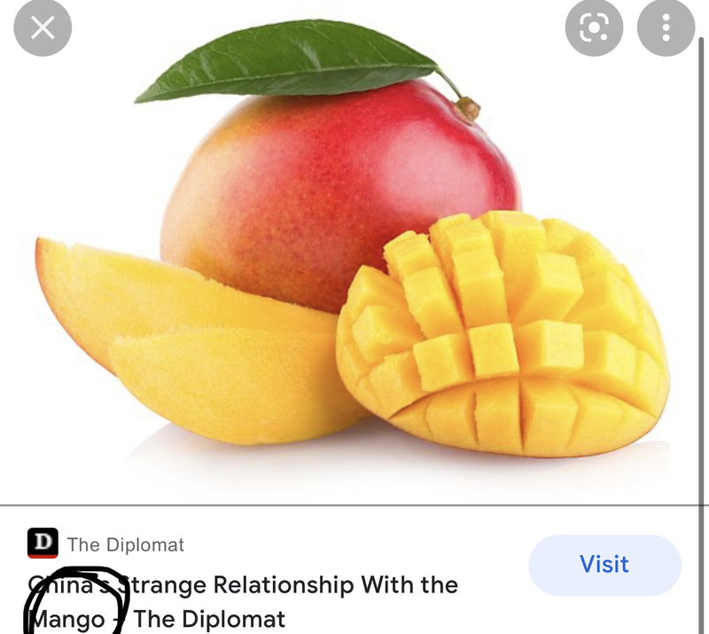 🆚What is the difference between "Oranges " and "Mangoes " ? "Oranges " vs "Mangoes " ? HiNative