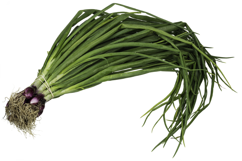 🆚What is the difference between scallion and green onion and