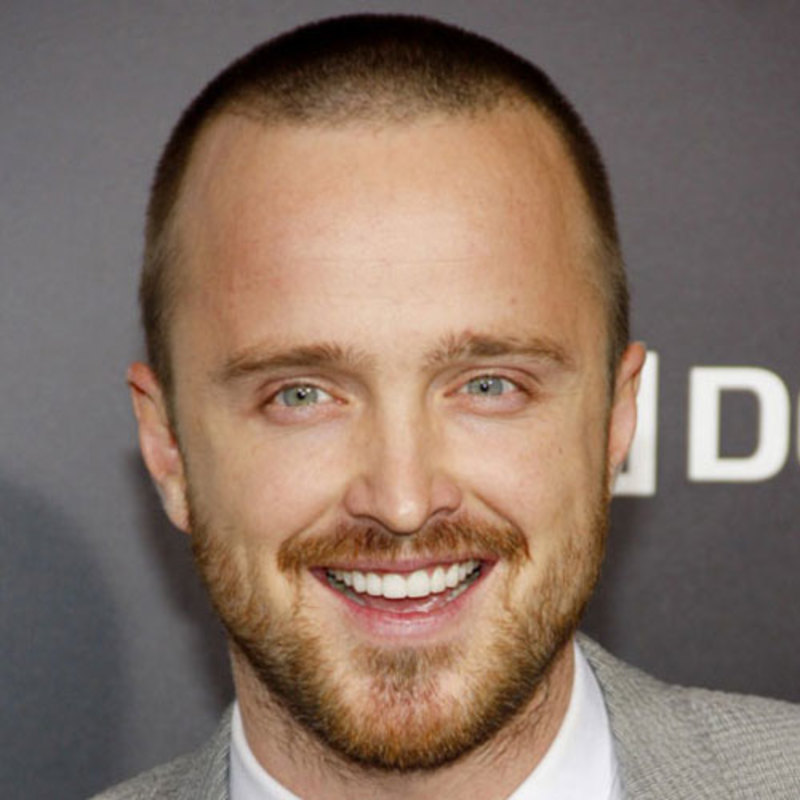 a really short haircut, like this.