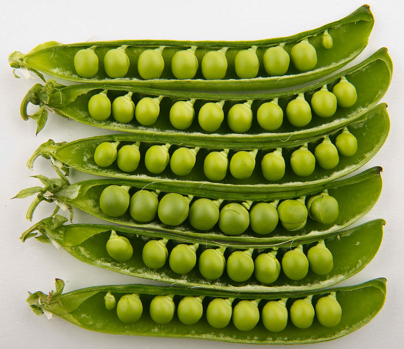 Peas とはどういう意味ですか 英語 アメリカ に関する質問 Hinative