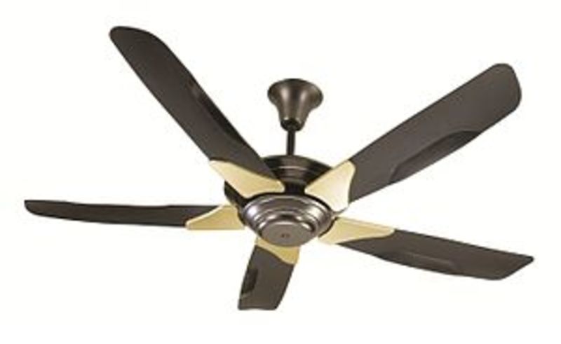 How Do You Say This In Portuguese Brazil Ceiling Fan Hinative