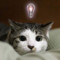どける と よける はどう違いますか Hinative