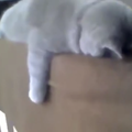 Missing thumb gray@2x