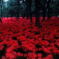 Аннан сон на татарском. Смотреть фото Аннан сон на татарском. Смотреть картинку Аннан сон на татарском. Картинка про Аннан сон на татарском. Фото Аннан сон на татарском