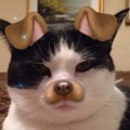 что значит pfp у художников. Смотреть фото что значит pfp у художников. Смотреть картинку что значит pfp у художников. Картинка про что значит pfp у художников. Фото что значит pfp у художников
