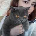 клиентка или клиент женского пола как правильно. Смотреть фото клиентка или клиент женского пола как правильно. Смотреть картинку клиентка или клиент женского пола как правильно. Картинка про клиентка или клиент женского пола как правильно. Фото клиентка или клиент женского пола как правильно