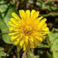 sugarboo что это значит. Смотреть фото sugarboo что это значит. Смотреть картинку sugarboo что это значит. Картинка про sugarboo что это значит. Фото sugarboo что это значит